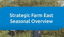 Strategic Farm East seasonal overview